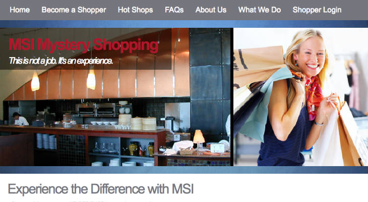 MSI Mystery Shopping screenshot