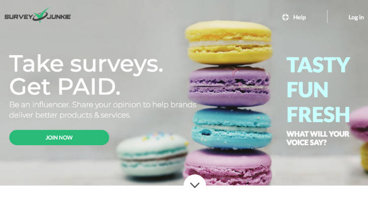 Survey Junkie screenshot
